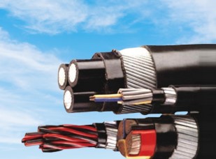 What are the mechanical properties of Type 2S Cable? | Posteezy