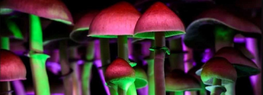 Magic Mushrooms Canada Cover Image