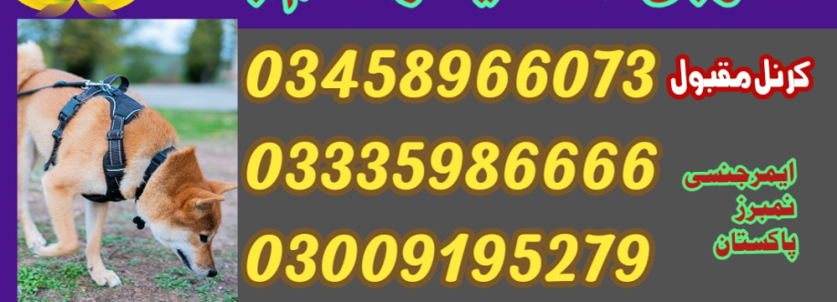 Army Dog Center Islamabad Cover Image