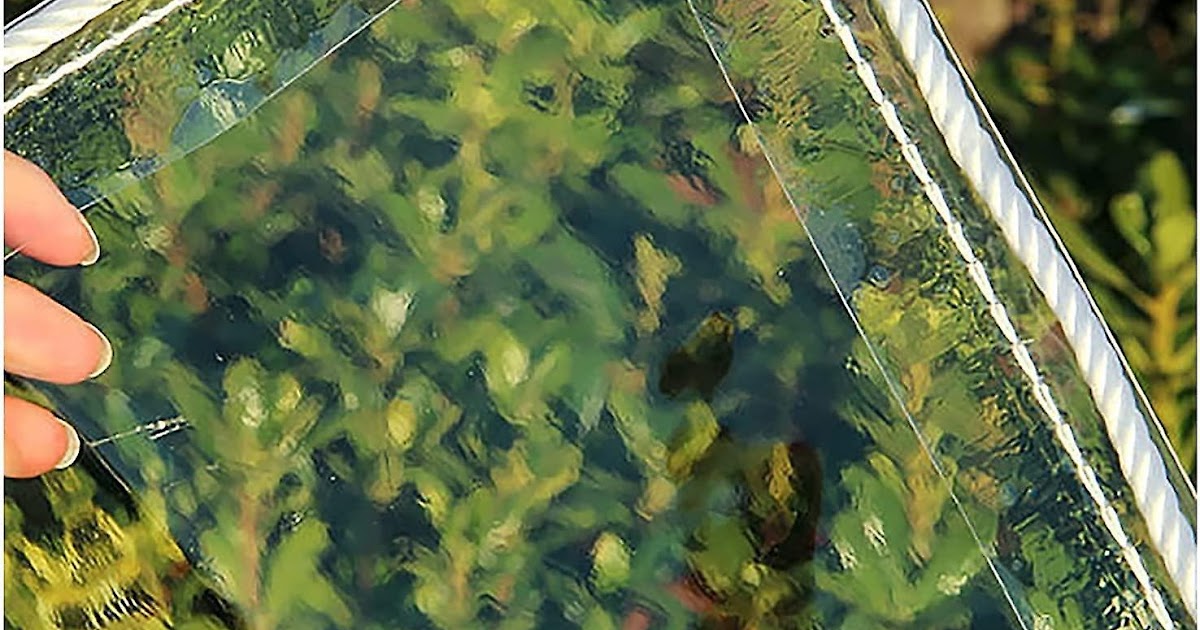 Exploring Plastic Tarpaulin Innovations