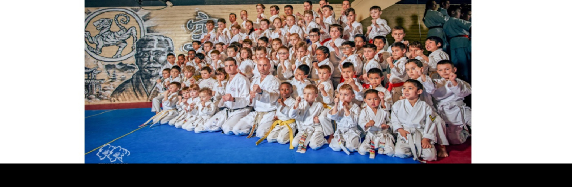 Okinawa Dojo by Karate Bros Cover Image