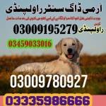 Army Dog Center Rawalpindi Profile Picture