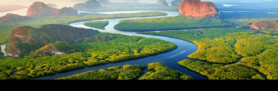 Work Paradise Cover Image