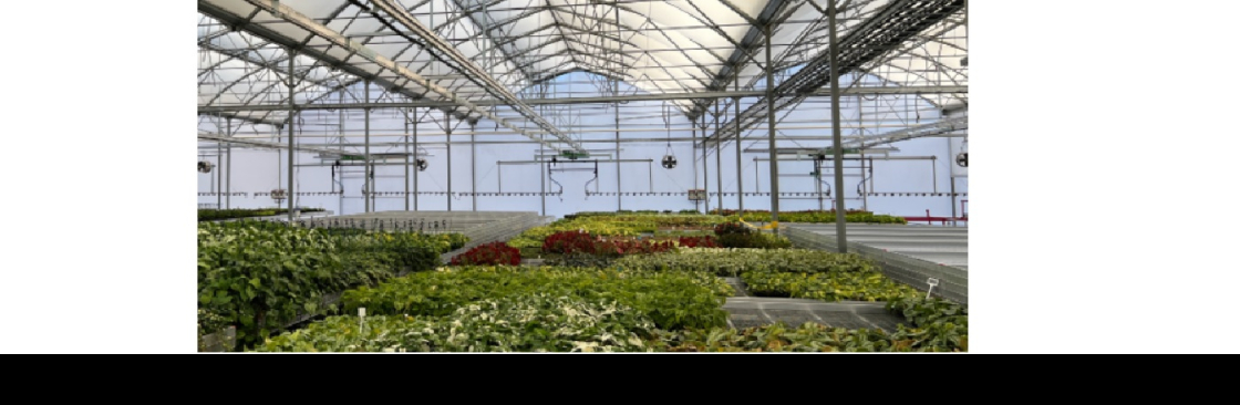 Powerplants Australia Cover Image