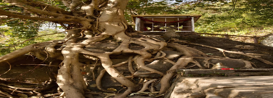 Abhyasa yogmath Cover Image