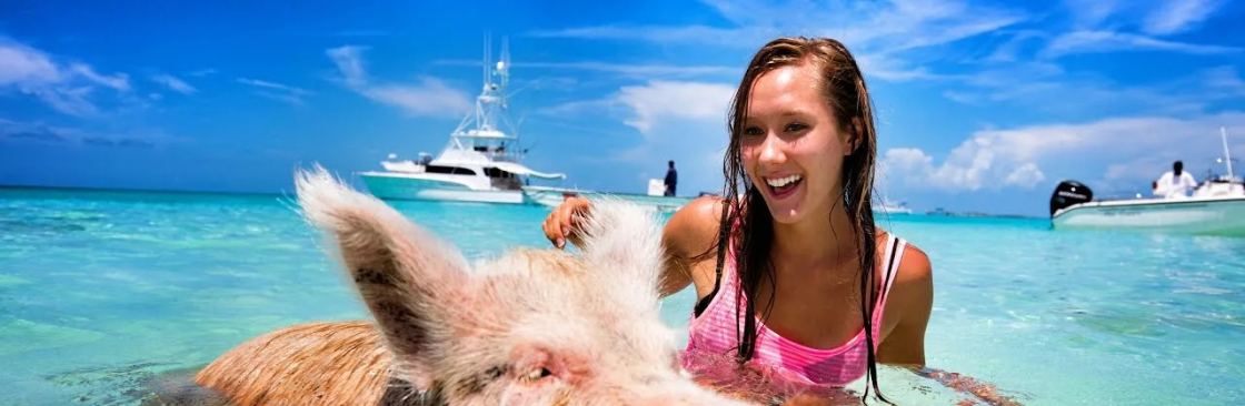 Pieces of 8 Tours Ltd Cover Image