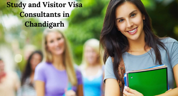 Top Study Visa Consultant in Chandigarh | Unitrack Overseas