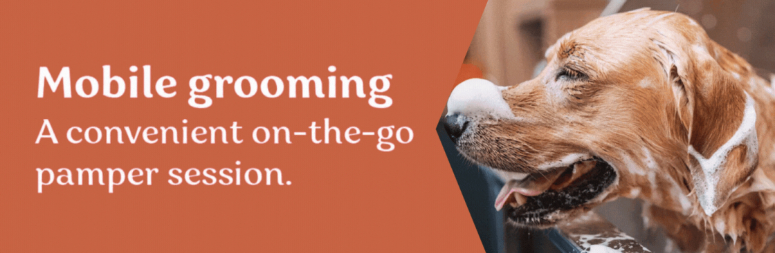 angel arwen53 Cover Image