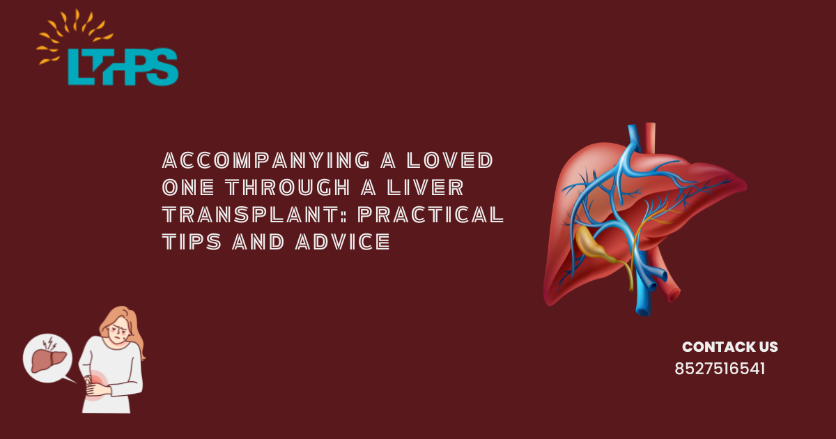 accompanying a loved one through a liver transplant: practical tips and advice | by Transplantationliver | Oct, 2024 | Medium