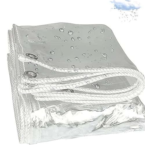 DIY Greenhouse: How to Use Tarpaulin Sheets for Plant Protection | by Tarpaulinz Uk | Oct, 2024 | Medium