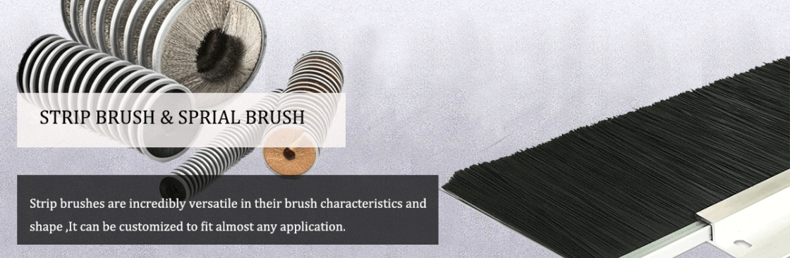 Bolex Brushes Cover Image