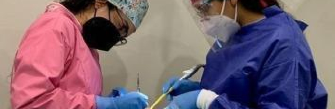 Doctor Dalia Dental Care Cover Image