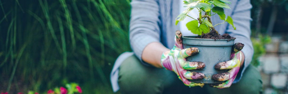 Bens Tree and Garden Services Cover Image