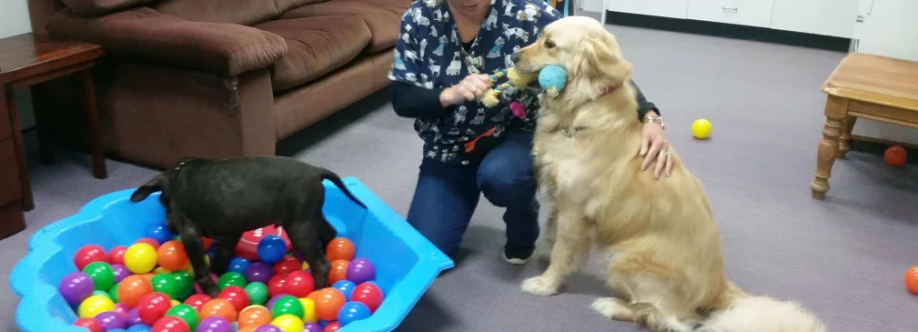 Holistic Paws Waggy Tails Cover Image