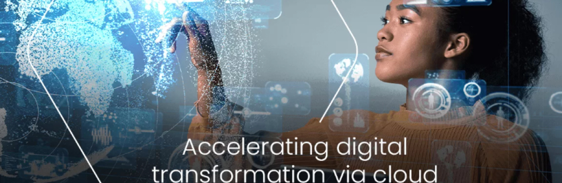 Redington Limited Cover Image