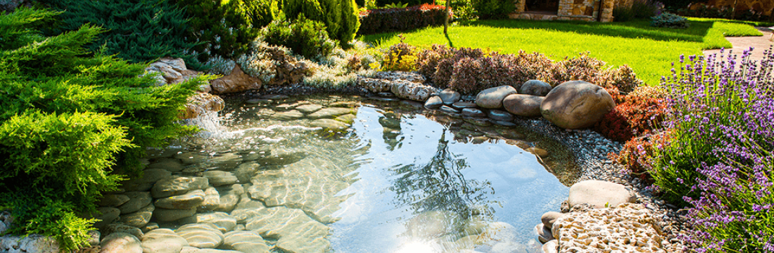 Active Landscaping Sydney Cover Image