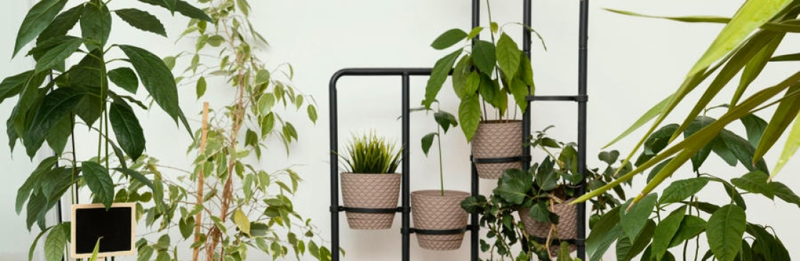 Tannu Ka Garden Cover Image