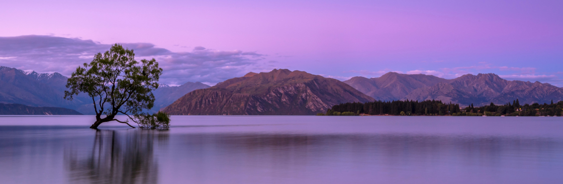 Brodie Trollope Cover Image