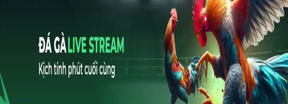 KING88 istanbul Cover Image