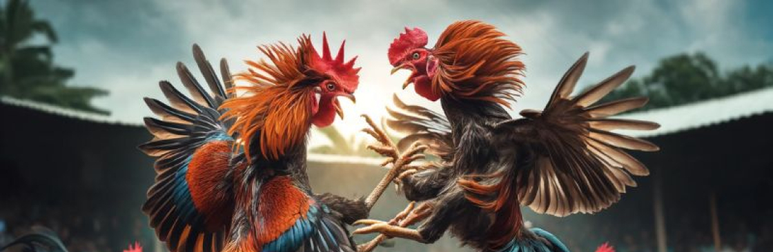 Đá Gà Trực Tiếp prcsnThomo Cover Image