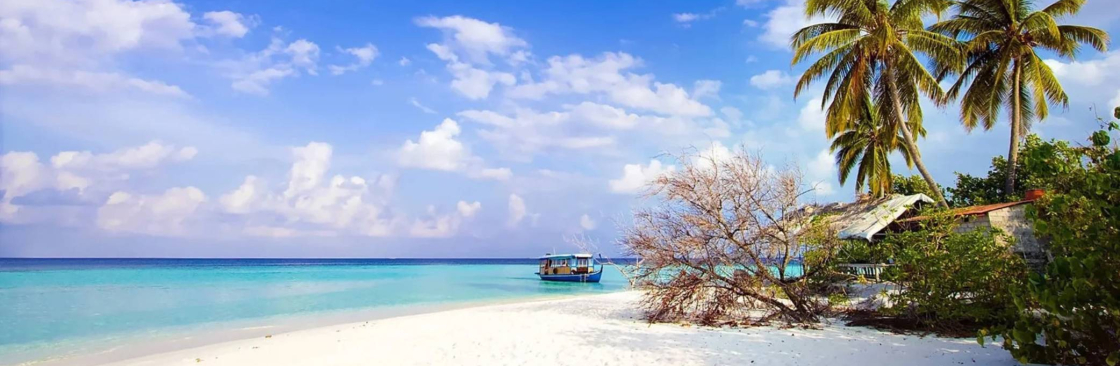 Go Andaman Holidays Cover Image