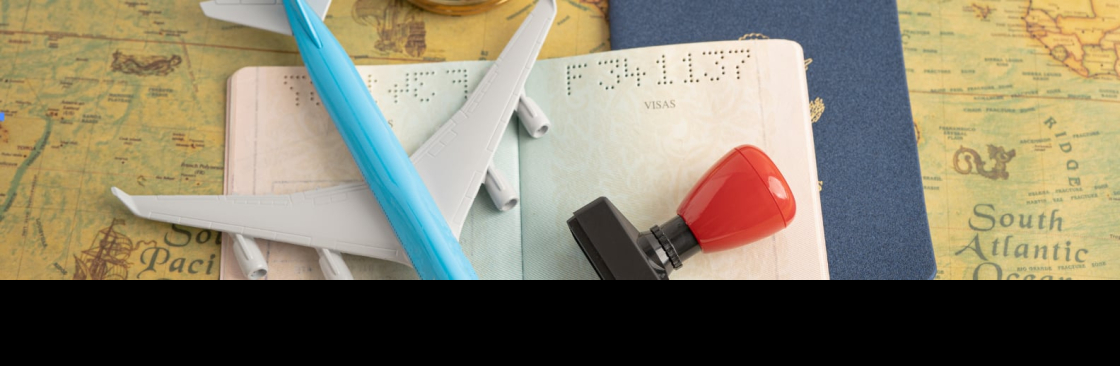 Ace Immigration services Cover Image