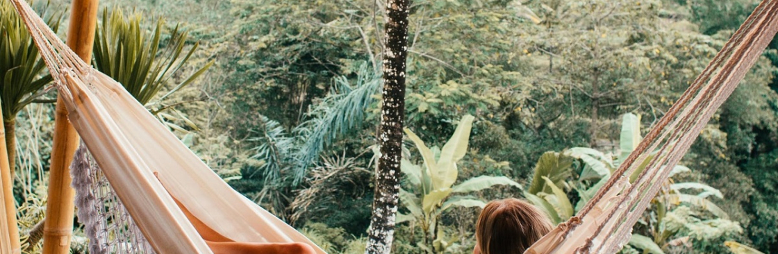 Lilian Randal Cover Image