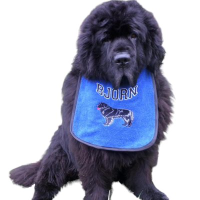 Personaliz Profile Picture