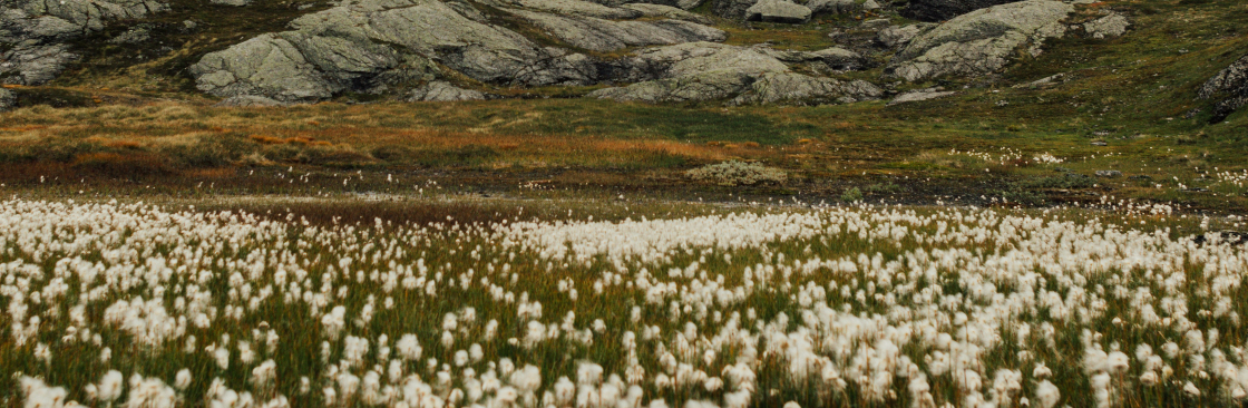 Jade Roberts Cover Image