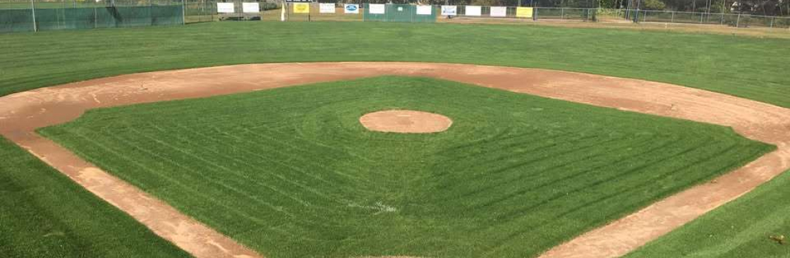 Mystic Little League Cover Image