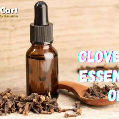 Best Prices on Wholesale Clove Bud Essential Oil - The Bulk Cart Profile Picture