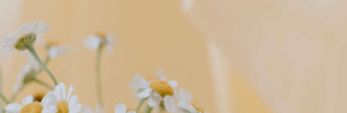 Healthcare Redefined Cover Image