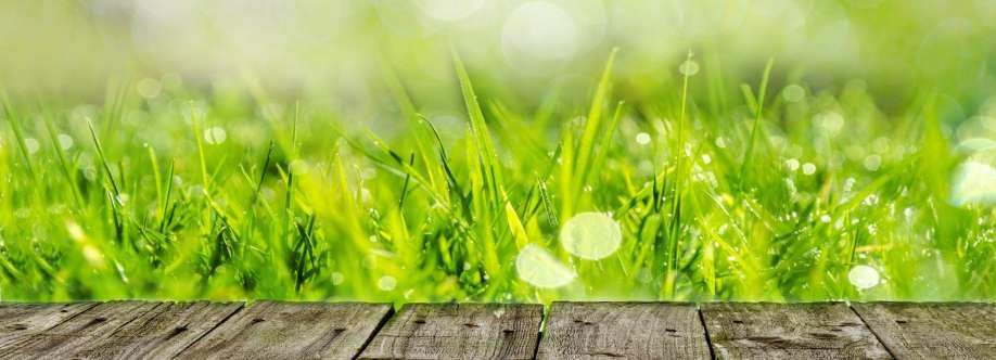 Steves Lawns Inc Cover Image