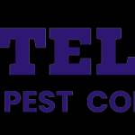 Pest Control Toronto Pest Control Toronto Profile Picture