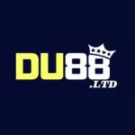 DU88 ltd Profile Picture
