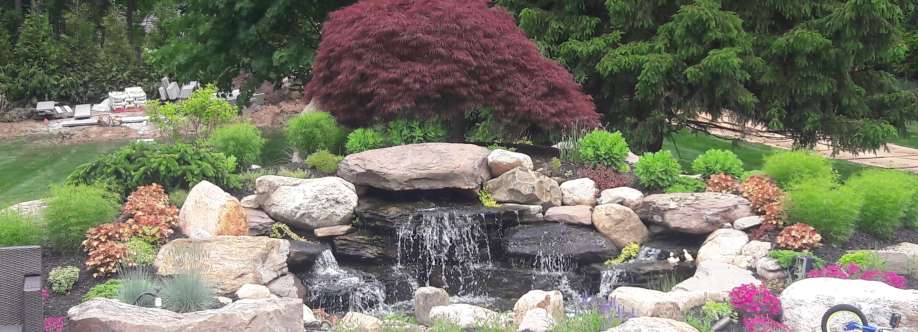 Steves Inc Cover Image