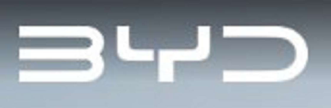 BYD Oway Cover Image