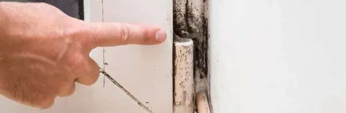 Mould Doctors Cover Image