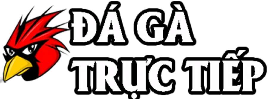 Đá gà Trực Tiếp 3 Cover Image