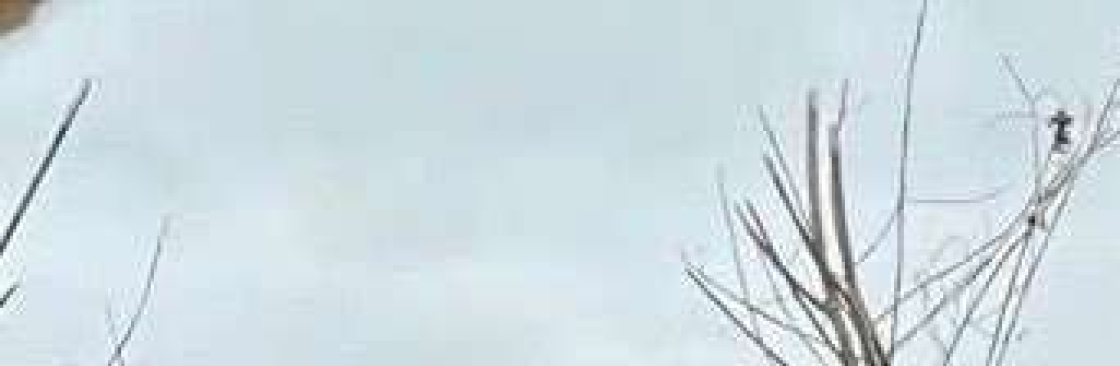 Mỹ Tiên Cover Image