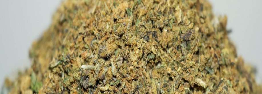 Kush Buddy Cover Image