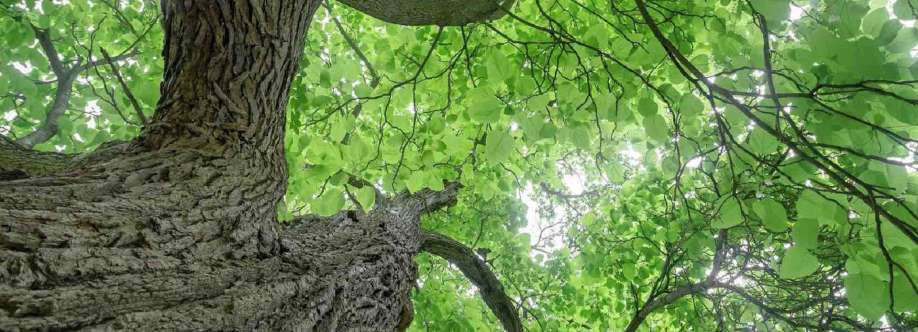 Chris Manning Cover Image