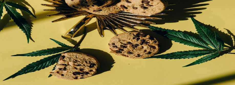 Universal Mattress Cover Image