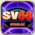 SV 88 Profile Picture