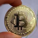 bo mcnabb Profile Picture