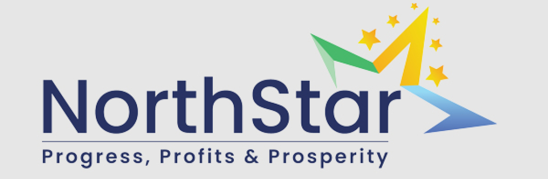 North Star Cover Image