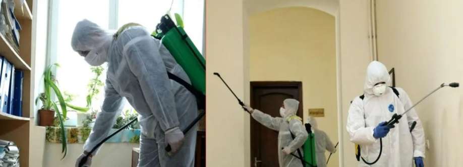 Al Madeena Pest Control Cover Image