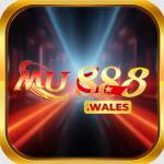 mu 888 Profile Picture