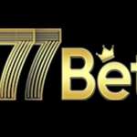 Nhà cái 77bet Profile Picture