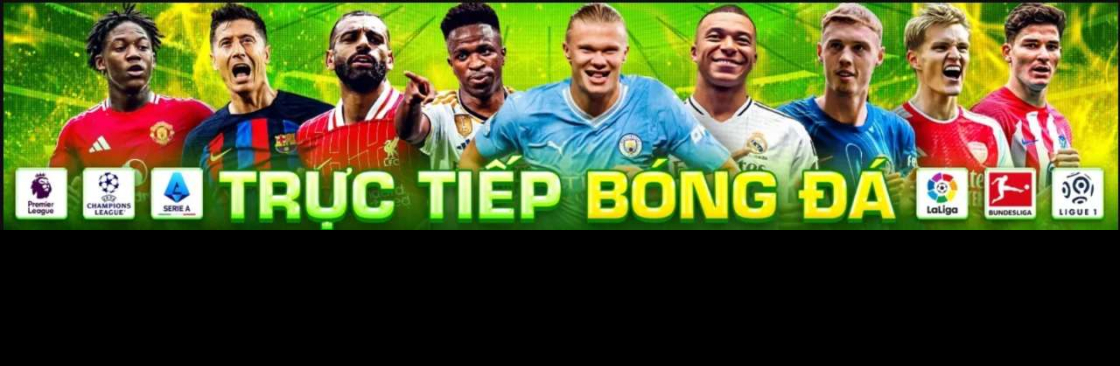 XoilacZ ORG Cover Image